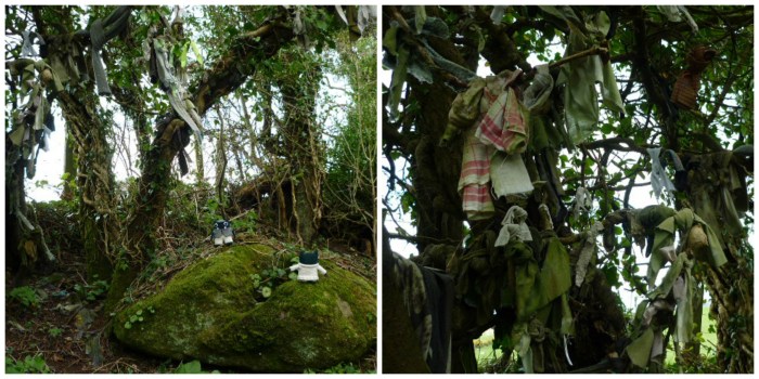 Rag Trees at the Holy Well - H Crawford/CrawCrafts Beasties
