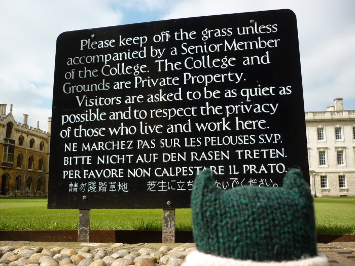 Paddy's Delaying Tactics - H Crawford/CrawCrafts Beasties