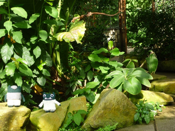 Paddy, In His Element - H Crawford/CrawCrafts Beasties