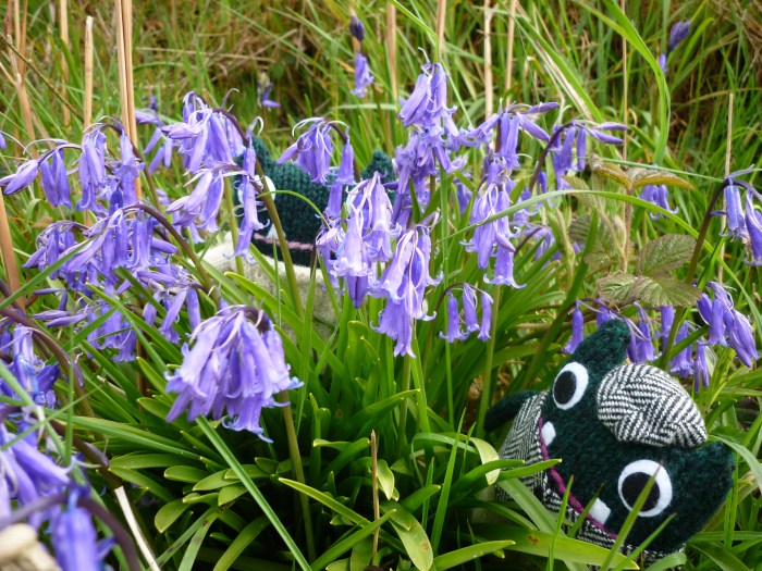 Paddy and Plunkett, Plus Some Bluebells! CrawCrafts Beasties