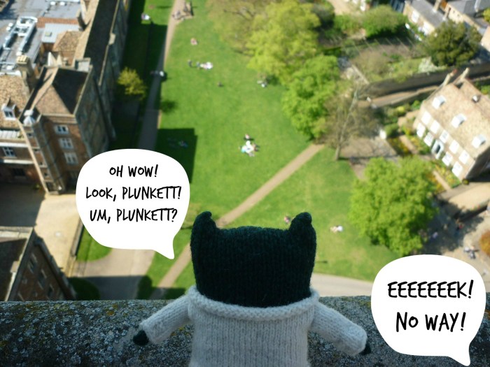 Paddy's View From the Tower - H Crawford/CrawCrafts Beasties