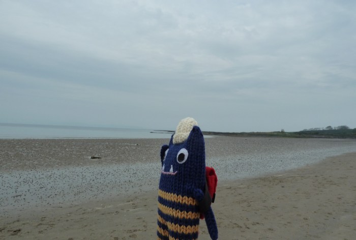 A Murky Day on the Beach - CrawCrafts Beasties
