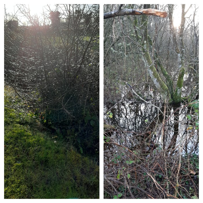 Rainy Ireland - Countryside Christmas - CrawCrafts Beasties