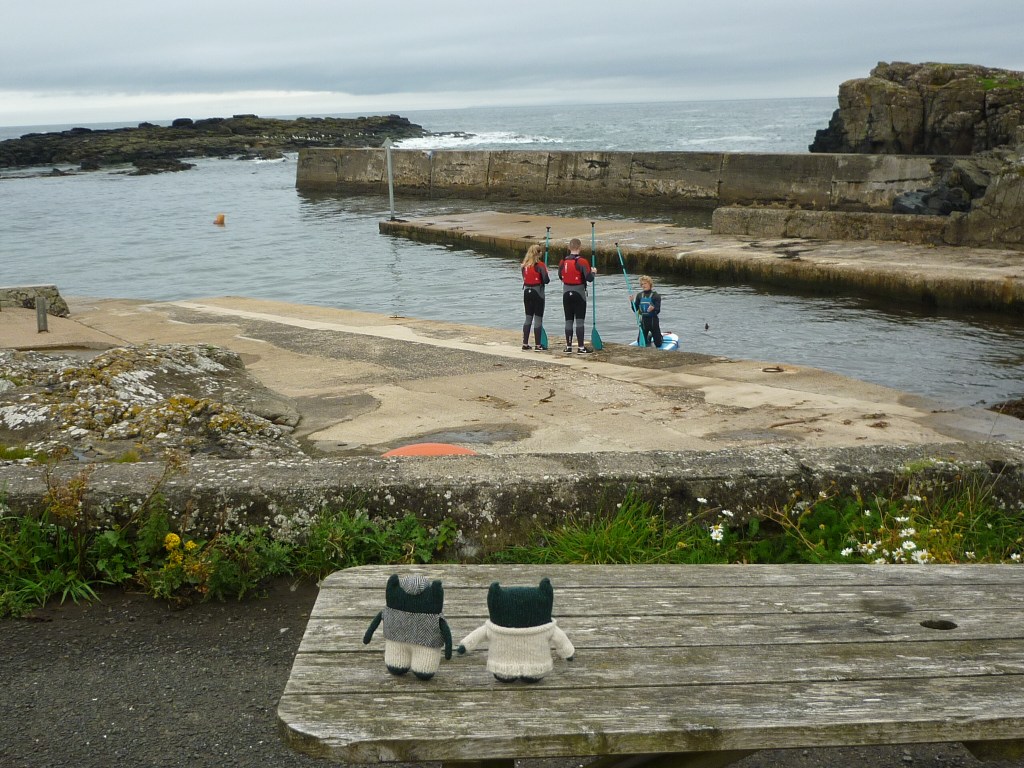 Paddleboarding in Dunseverick Harbour - North Antrim Coast - H Crawford/CrawCrafts Beasties