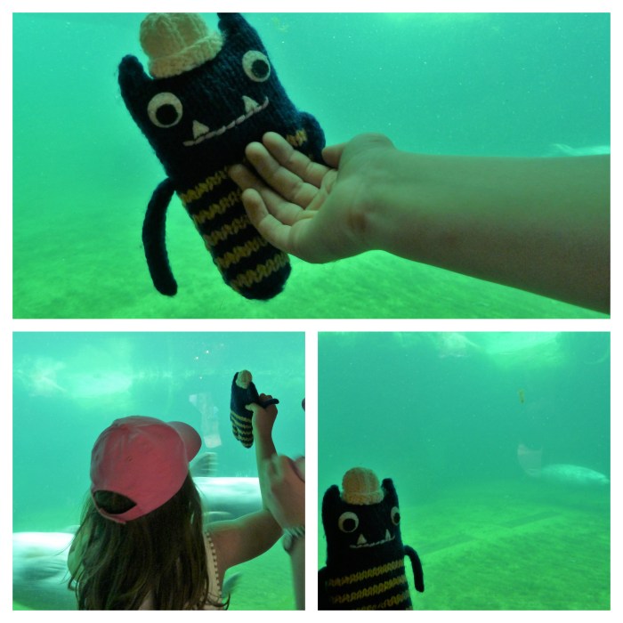 Seeing the Seals at Frankfurt Zoo - CrawCrafts Beasties