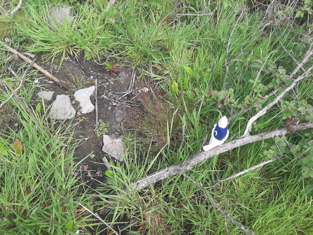 Traces of Other Visitors - CrawCrafts Beasties