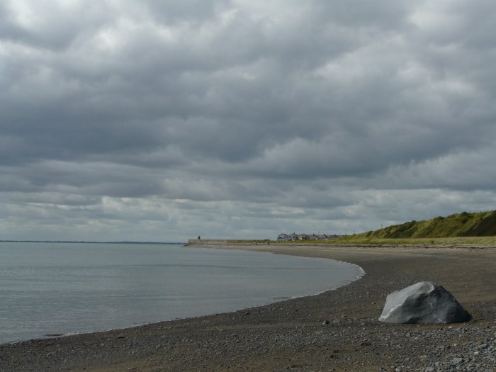 Beach at Carlingford - B Crawford/CrawCrafts Beasties