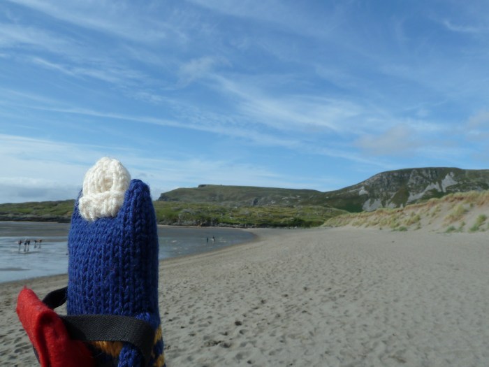 Last Look at Glencolmcille Beach - CrawCrafts Beasties