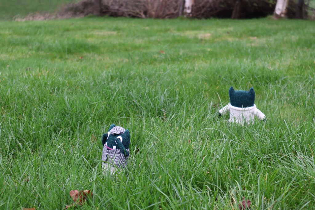 Hide and Beast - CrawCrafts Beasties