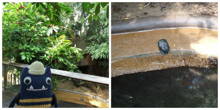 The Headless Turtle - CrawCrafts Beasties