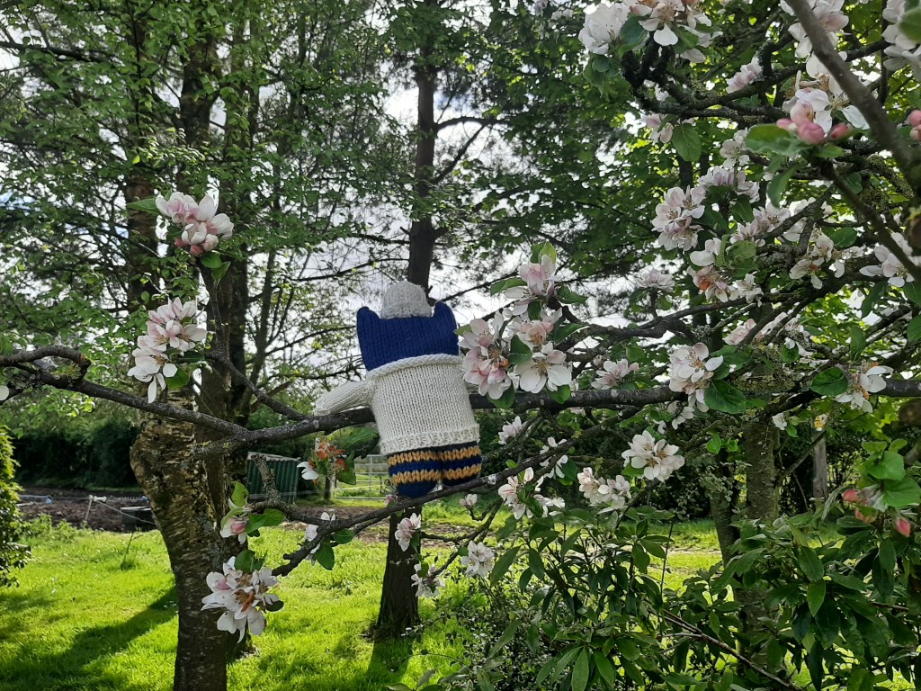 What's Over There? Irish Countryside - CrawCrafts Beasties