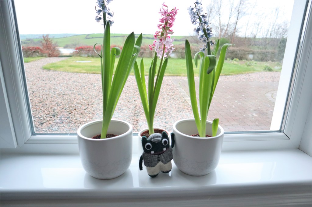 Plunkett with Hyacinths - CrawCrafts Beasties