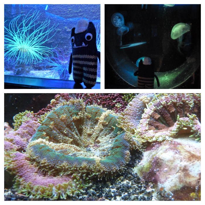 Weird Squishy Things at Aquazoo - CrawCrafts Beasties