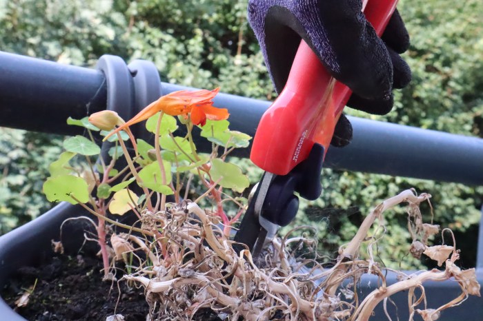 Pruning Duty - Balcony Garden - CrawCrafts Beasties