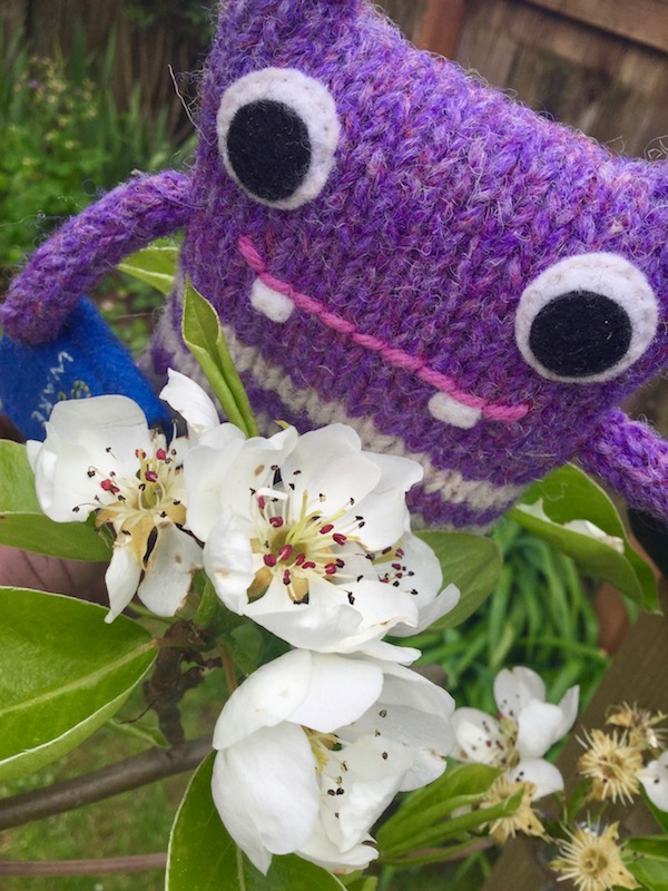 Finn McSpool in the Garden - T Painter