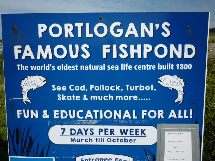 A Famous Fish Pond! H Crawford/CrawCrafts Beasties