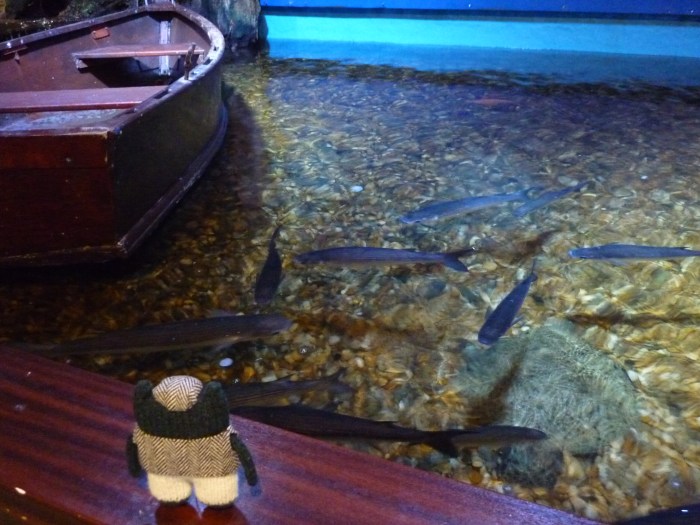 Plunkett Ponders the Fish - Sea Zoo - H Crawford/CrawCrafts Beasties