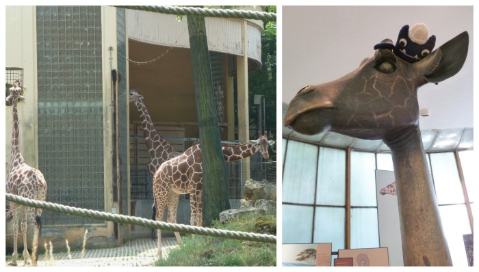 Giraffes at Frankfurt Zoo - CrawCrafts Beasties