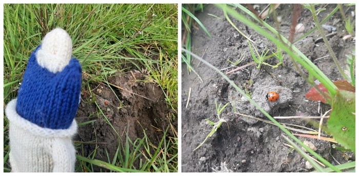 First Ladybird - CrawCrafts Beasties