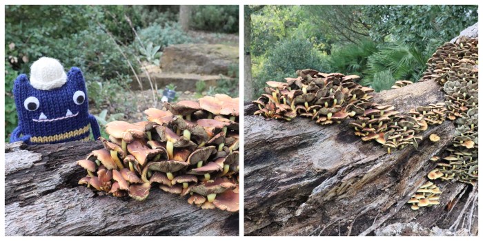 Autumnal Fungus Fun - CrawCrafts Beasties