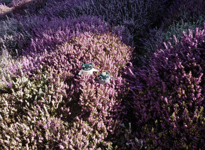The Heather Bank at the Eden Project - H Crawford/CrawCrafts Beasties