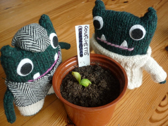 Courgette Plant - Growing Veg - CrawCrafts Beasties