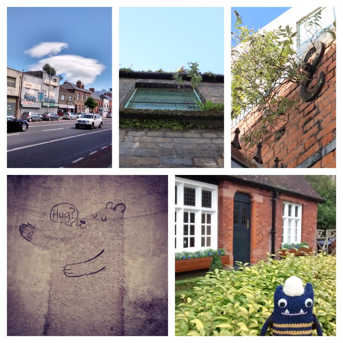 City Streets - Outdoors in Dublin - CrawCrafts Beasties