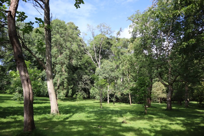 Arboretum at the National Botanic Gardens - CrawCrafts Beasties