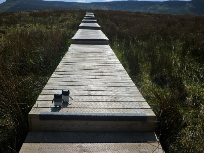 Taking in the Bog at Cuilcagh Moutain - H Crawford/CrawCrafts Beasties