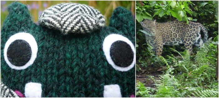 Run, Plunkett! H Crawford/CrawCrafts Beasties