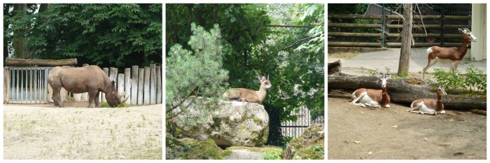 African Wildlife at Frankfurt Zoo - CrawCrafts Beasties