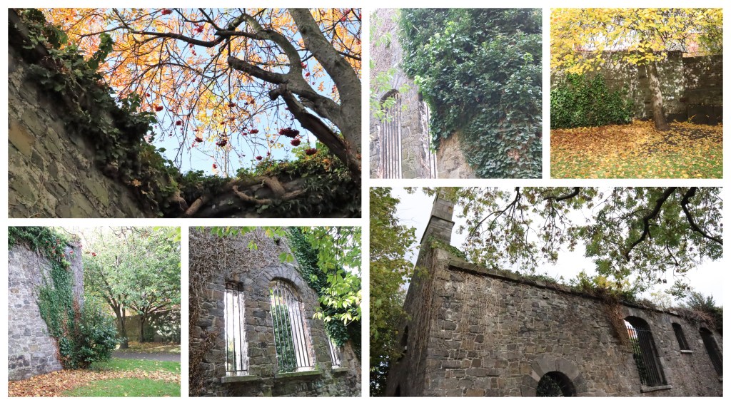 St Kevin's Park, Dublin - CrawCrafts Beasties