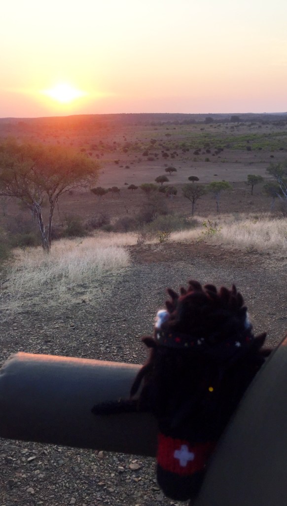 Sunset on the African Plains - S Allen/CrawCrafts Beasties