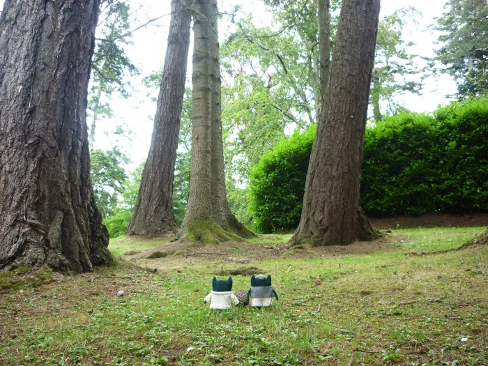 Paddy and Plunkett play in the Gardens - H Crawford/CrawCrafts Beasties