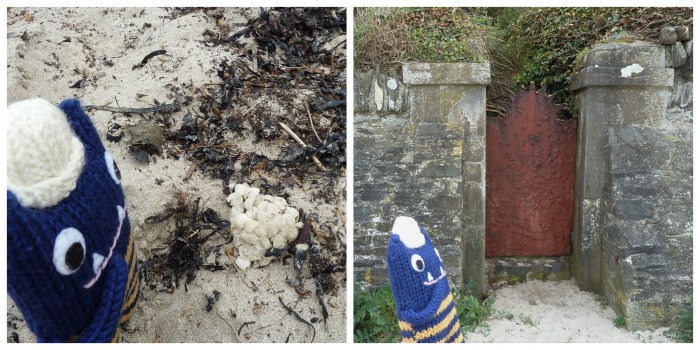 Exploring the Beach - CrawCrafts Beasties