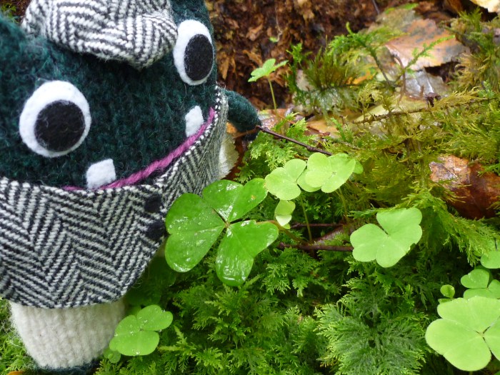 Plunkett Discovers Some Greenery in Sligo - H Crawford/CrawCrafts Beasties
