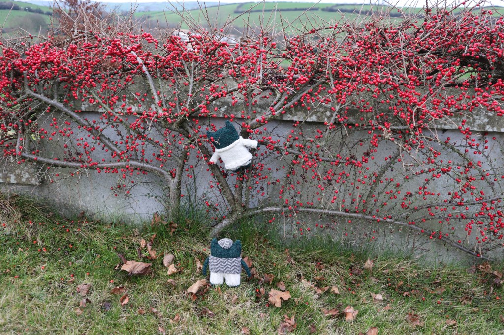 Climbing Beasties! CrawCrafts Beasties