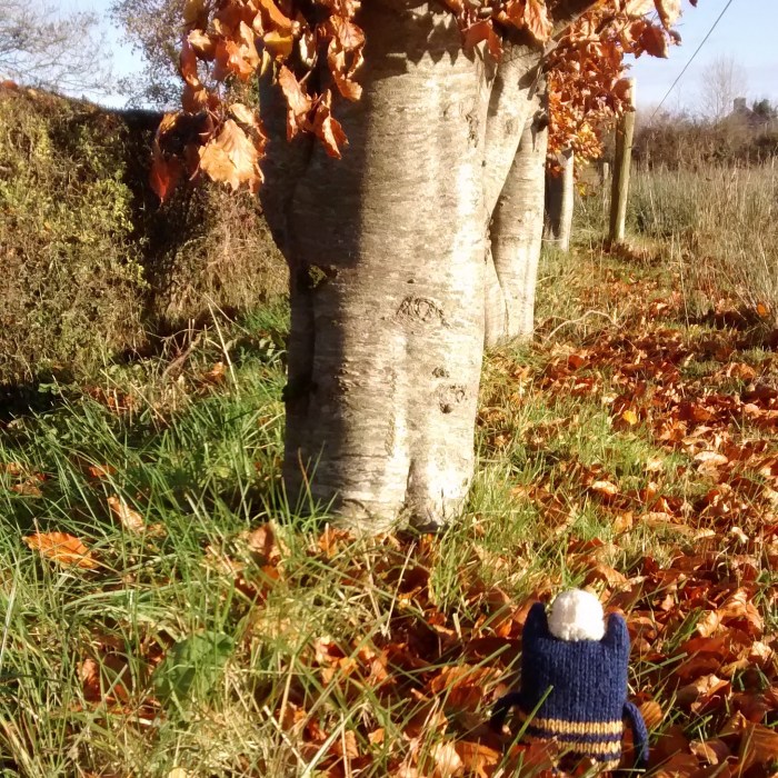 An Autumnal Stroll - CrawCrafts Beasties