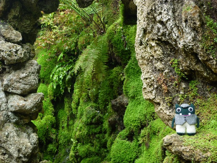 Plunkett in the Grotto at Powerescourt - H Crawford/CrawCrafts Beasties