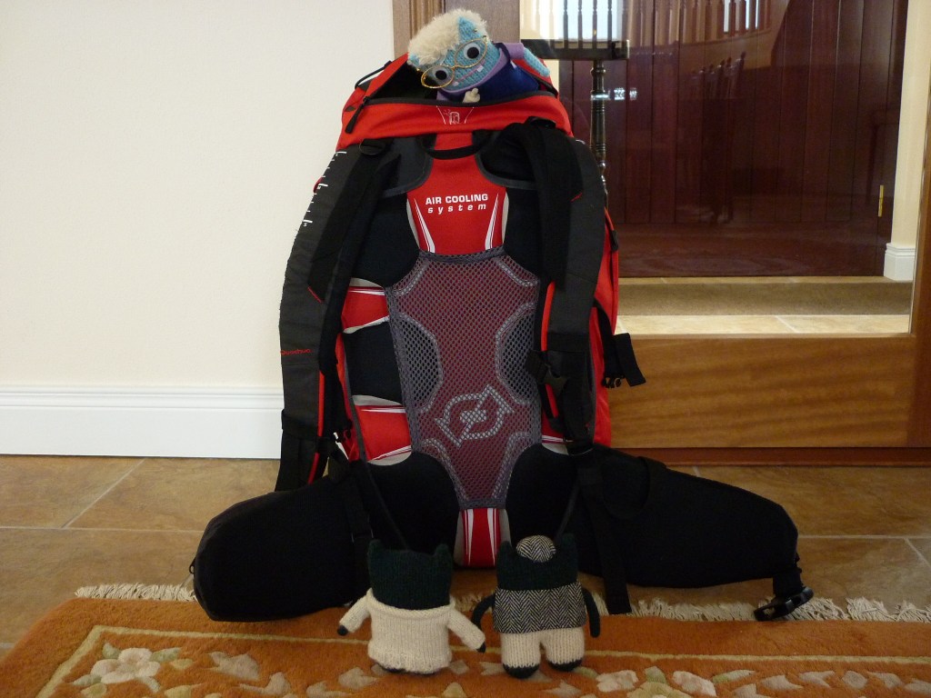 One Beastie, Ready for Departure! H Crawford/CrawCrafts Beasties