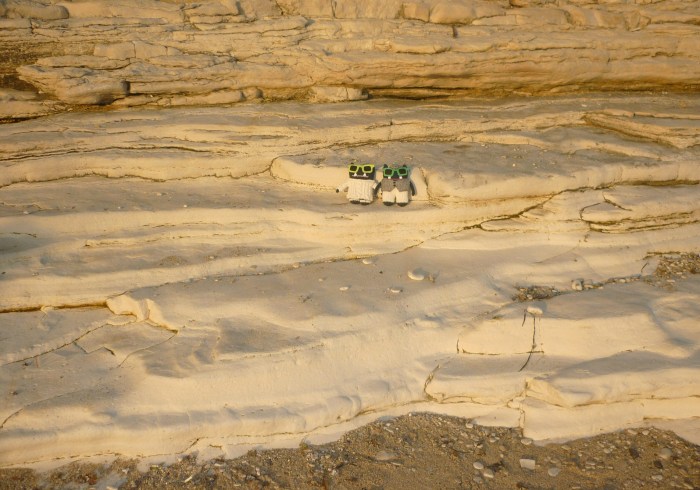 Beastie Dazzlers! H Crawford/CrawCrafts Beasties