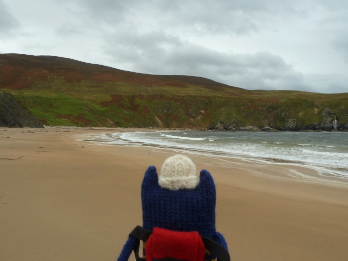 Goodbye, Silver Strand Beach! CrawCrafts Beasties