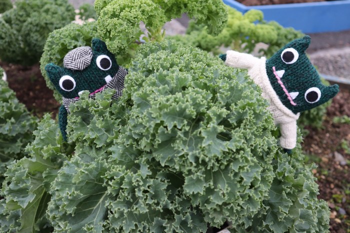 Kale! Vegetable Garden - CrawCrafts Beasties