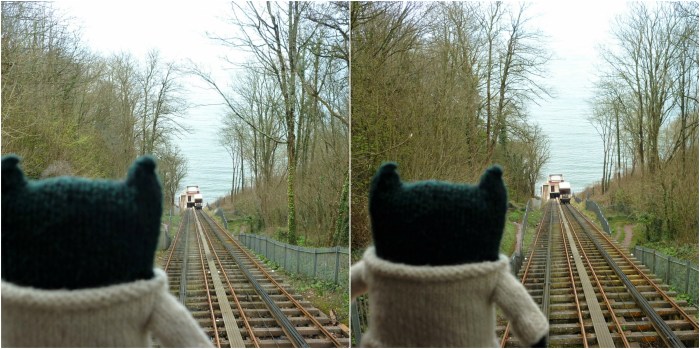 Paddy Photobomb 1 - H Crawford/CrawCrafts Beasties