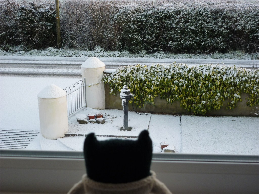 Paddy Spots the Snow - H Crawford/CrawCrafts Beasties