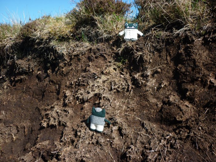 Paddy and Plunkett Check Out the Peat Bog - H Crawford/CrawCrafts Beasties