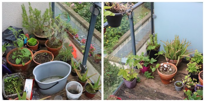 Sad Balcony Garden - CrawCrafts Beasties