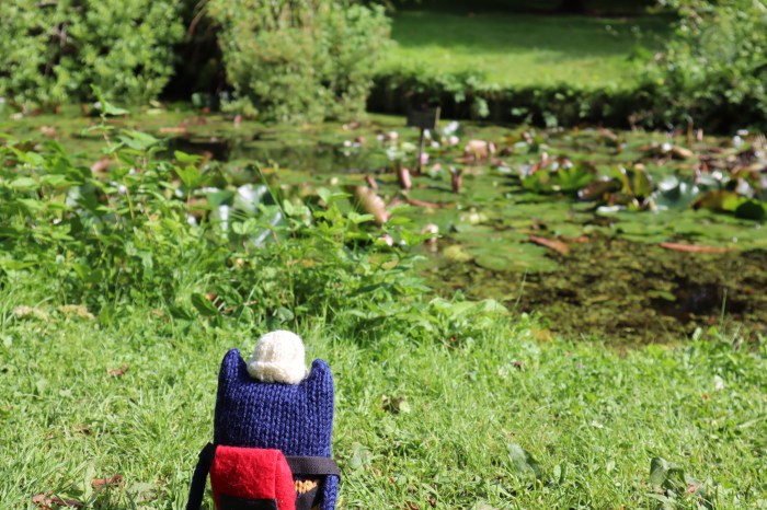 Explorer Beastie at the Lily Pond - CrawCrafts Beasties