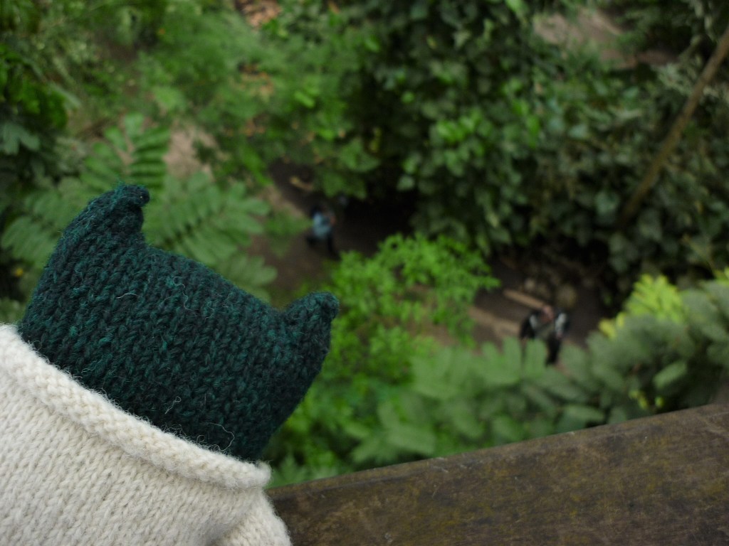 Paddy Peering Down into the Rainforest - H Crawford/CrawCrafts Beasties