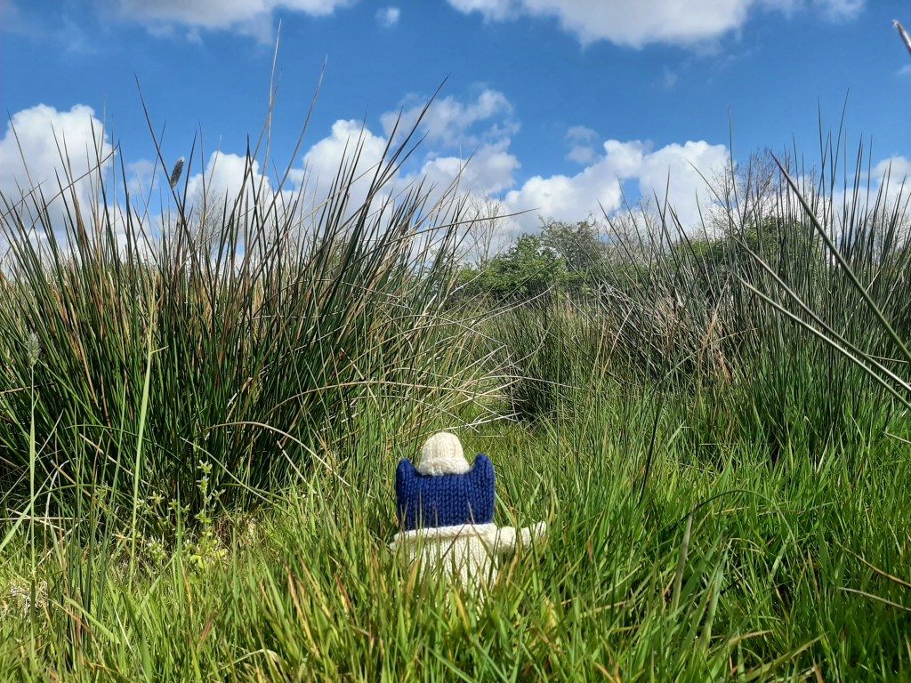 In the long grass - Springtime - CrawCrafts Beasties